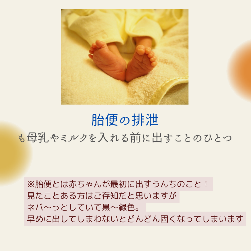 新生児の出生後 | ouimama cafe